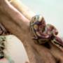 Gallery Professionale