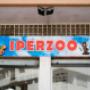 Gallery Professionale