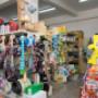 Gallery Professionale