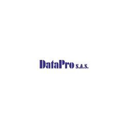 Data Pro Sas