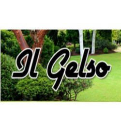 Il Gelso