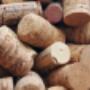 Prosecco Azienda Agricola Conte Collalto