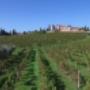 Spumante Azienda Agricola Conte Collalto