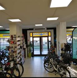 Cicli S.F.