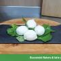 Bocconcini-Natura-di-latte-di-bufalax.jpg