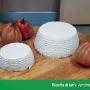 Caricato da visitatore il 30/04/2017 - ricotta-di-latte-vaccino-natura-campana