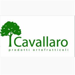Cavallaro Prodotti Ortofrutticoli-F.lli Cavallaro Soc. Agr. S.r.l.