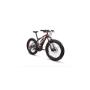 Biciclette Ibride