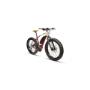 Biciclette Elettriche