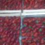 Fragole