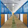 Addestramento Sportivo