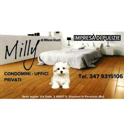 Impresa di Pulizie Milly