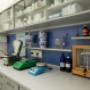 Gallery Professionale