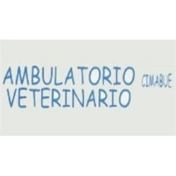Ambulatorio Veterinario Cimabue
