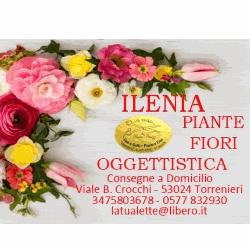 La Tualette Piante e Fiori
