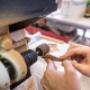 Gallery Professionale