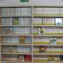 Gallery Cliente