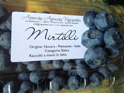 Agriturismo Vignarello