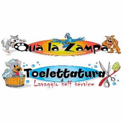 Qua La Zampa