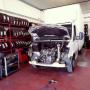 Gallery Professionale