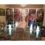 Gallery Cliente