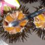 I Nostri Ricci di Mare Una Peculiarita' Solo da Noi