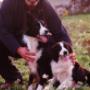 Clinica Veterinaria Amico Mio