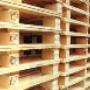 M.M. Pallet