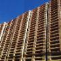 M.M. Pallet