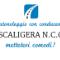 SCALIGERA-NCC