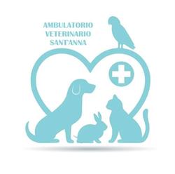 Ambulatorio Veterinario Sant'Anna