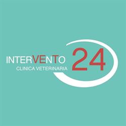Clinica Veterinaria - Intervento 24