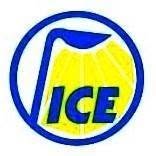 I.C.E.