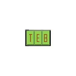 T.E.B.
