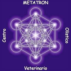 Metatron Centro Veterinario Olistico