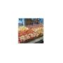 Pizze
