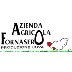 Azienda Agricola Fornasero
