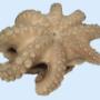 Pesce Surgelato Campania Group