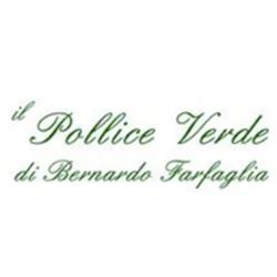 Il Pollice Verde  Tutto per Giardinaggio e Agricoltura