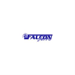 Falconferro Fabbro Pronto Intervento Serrande e Porte
