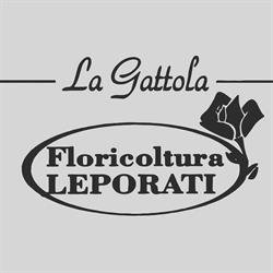La Gattola di Leporati