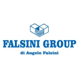Falsini Group