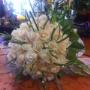 Rose Candide