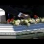 Organizzazione di Funerali