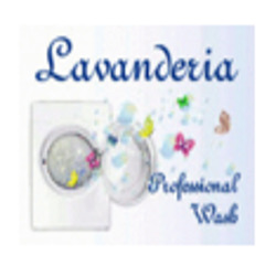 Lavanderia Professional Wash