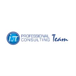 Professional Consulting Team