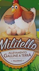 Militello Allevamento Galline a Terra - Vendita Uova