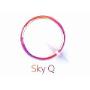 Sky Q