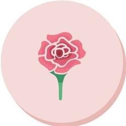 Estetica Camelia