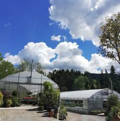 Azienda Agricola Marchesi